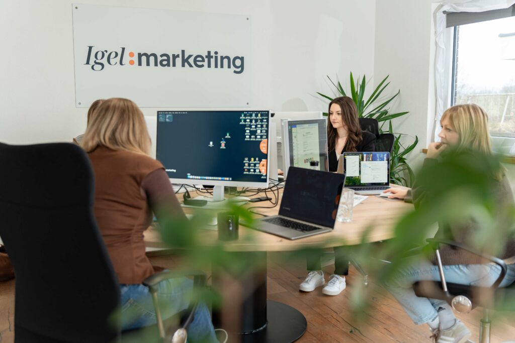 igel marketing 1 kom